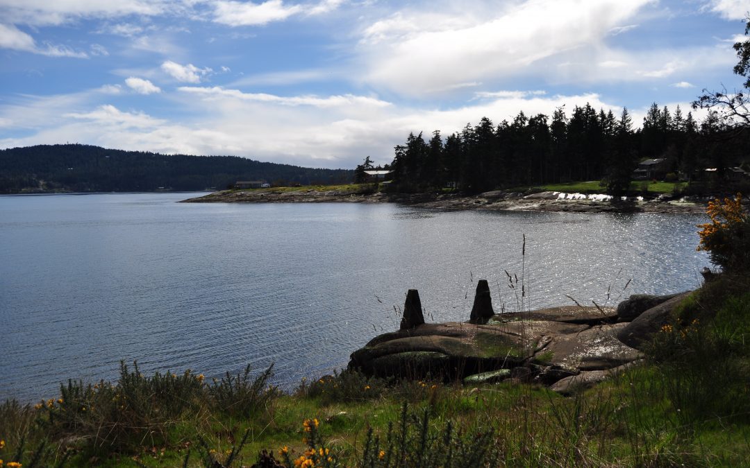 Bellhouse Provincial Park