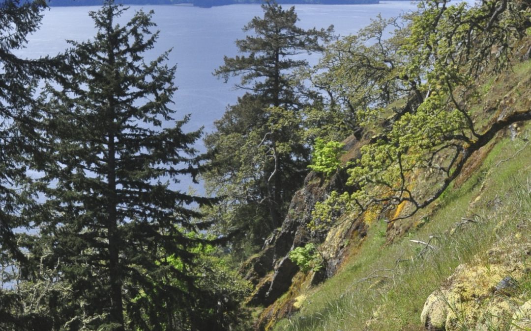 Mount Sutil