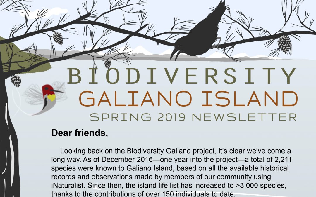 Spring 2019 Newsletter