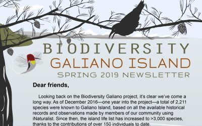 Spring 2019 Newsletter