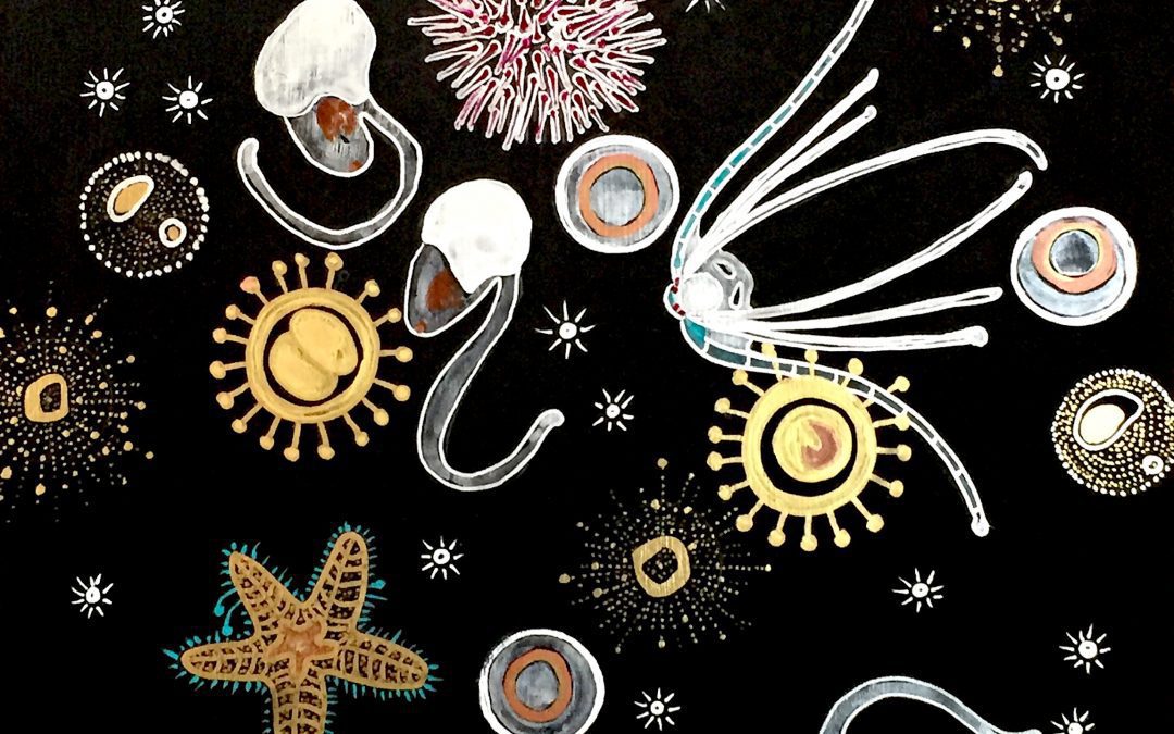 The Importance of Plankton