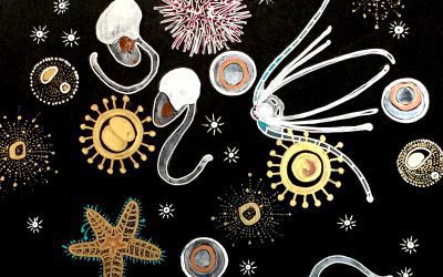 The Importance of Plankton