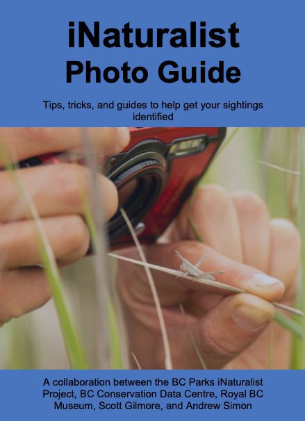 iNaturalist Photo Guide